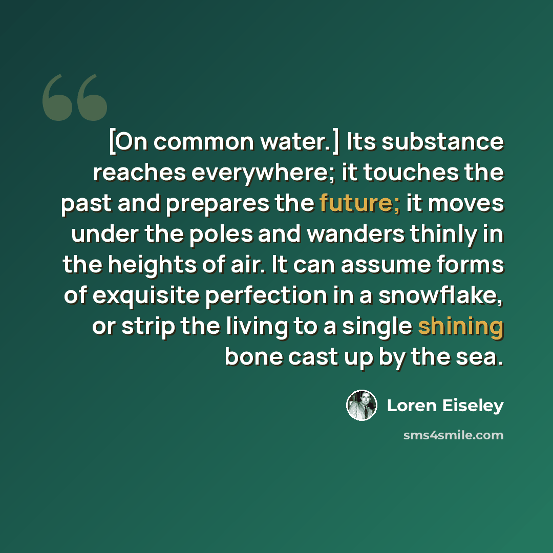 “[On common water.] Its substance reaches everywhere; it touches the past and prepares the future; it moves under the poles and wanders thinly in the heights of air. It can assume forms of exquisite perfection in a snowflake, or strip the living to a single shining bone cast up by the sea.” quote by Loren Eiseley
