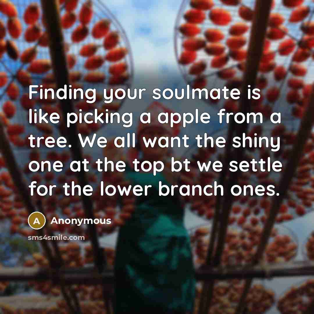 “Finding your soulmate is like picking a apple from a tree. We all want the shiny one at the top bt we settle for the lower branch ones.” quote by Anonymous
