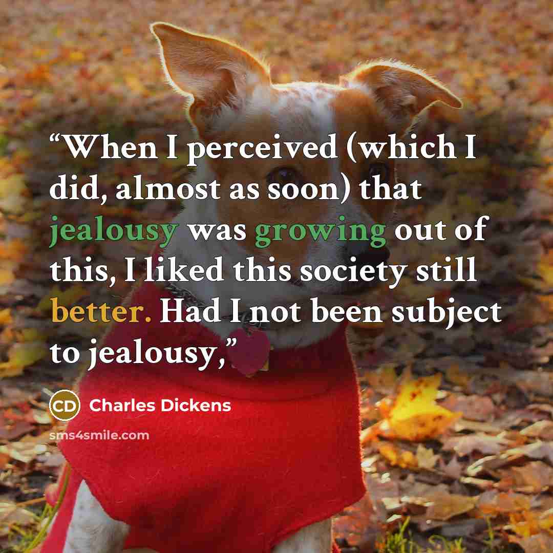 “When I perceived (which I did, almost as soon) that jealousy was growing out of this, I liked this society still better. Had I not been subject to jealousy,” quote by Charles Dickens
