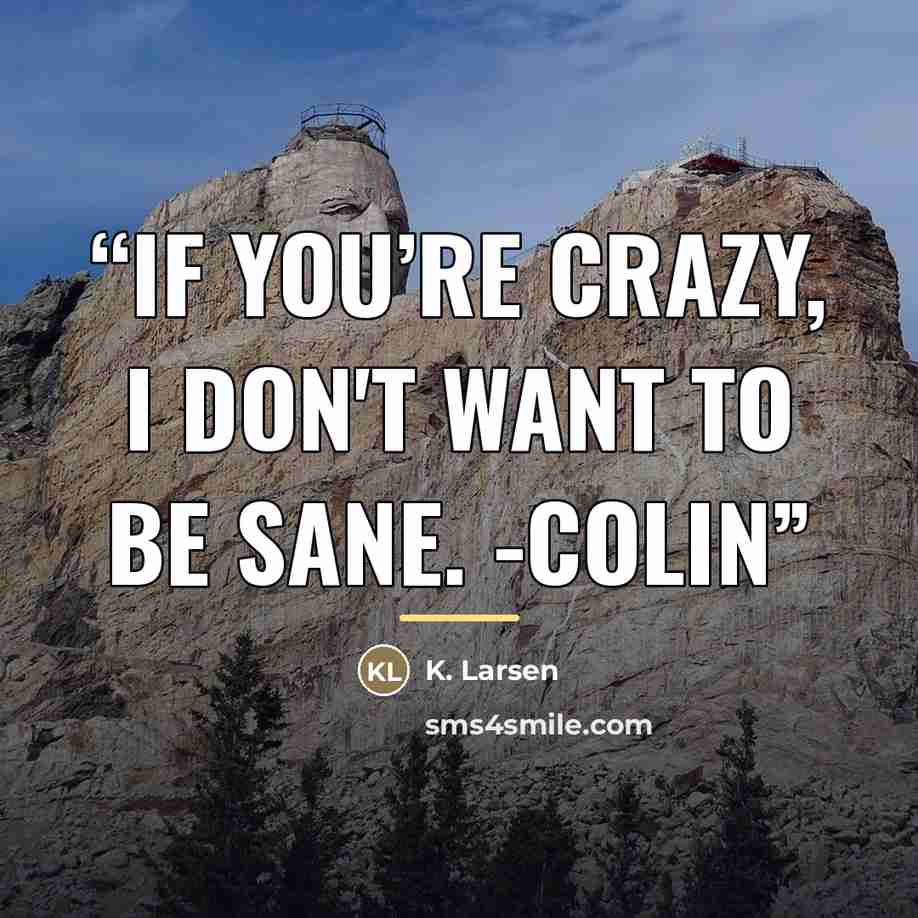 “IF YOU’RE CRAZY, I DON'T WANT TO BE SANE. -Colin” quote by K. Larsen
