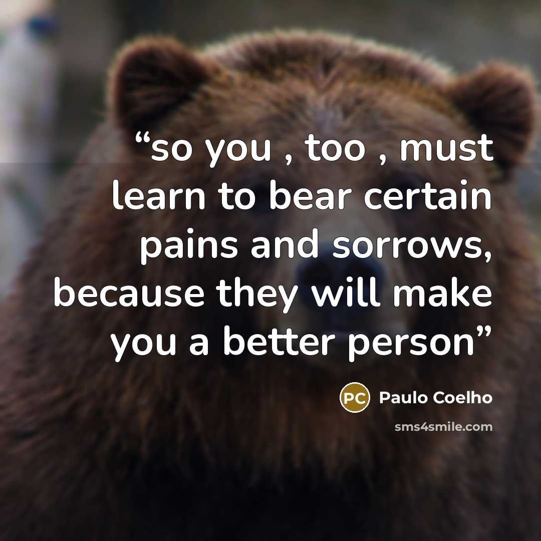 “so you , too , must learn to bear certain pains and sorrows, because they will make you a better person” quote by Paulo Coelho