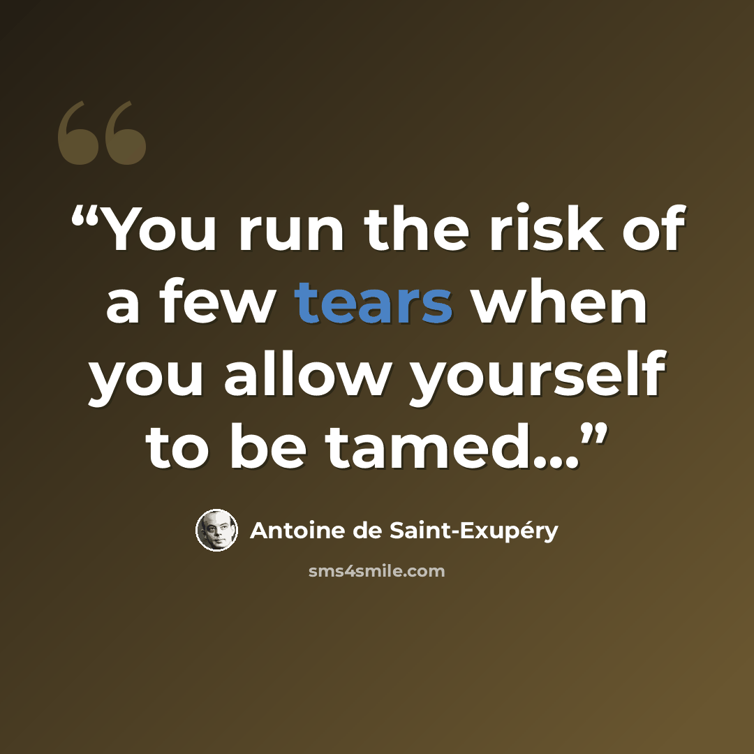 “You run the risk of a few tears when you allow yourself to be tamed...” quote by Antoine de Saint-Exupéry