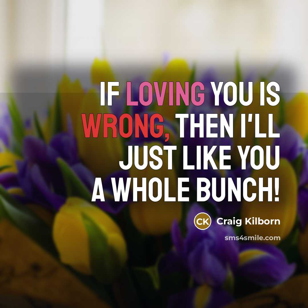 “If loving you is wrong, then I'll just like you a whole bunch!” quote by Craig Kilborn