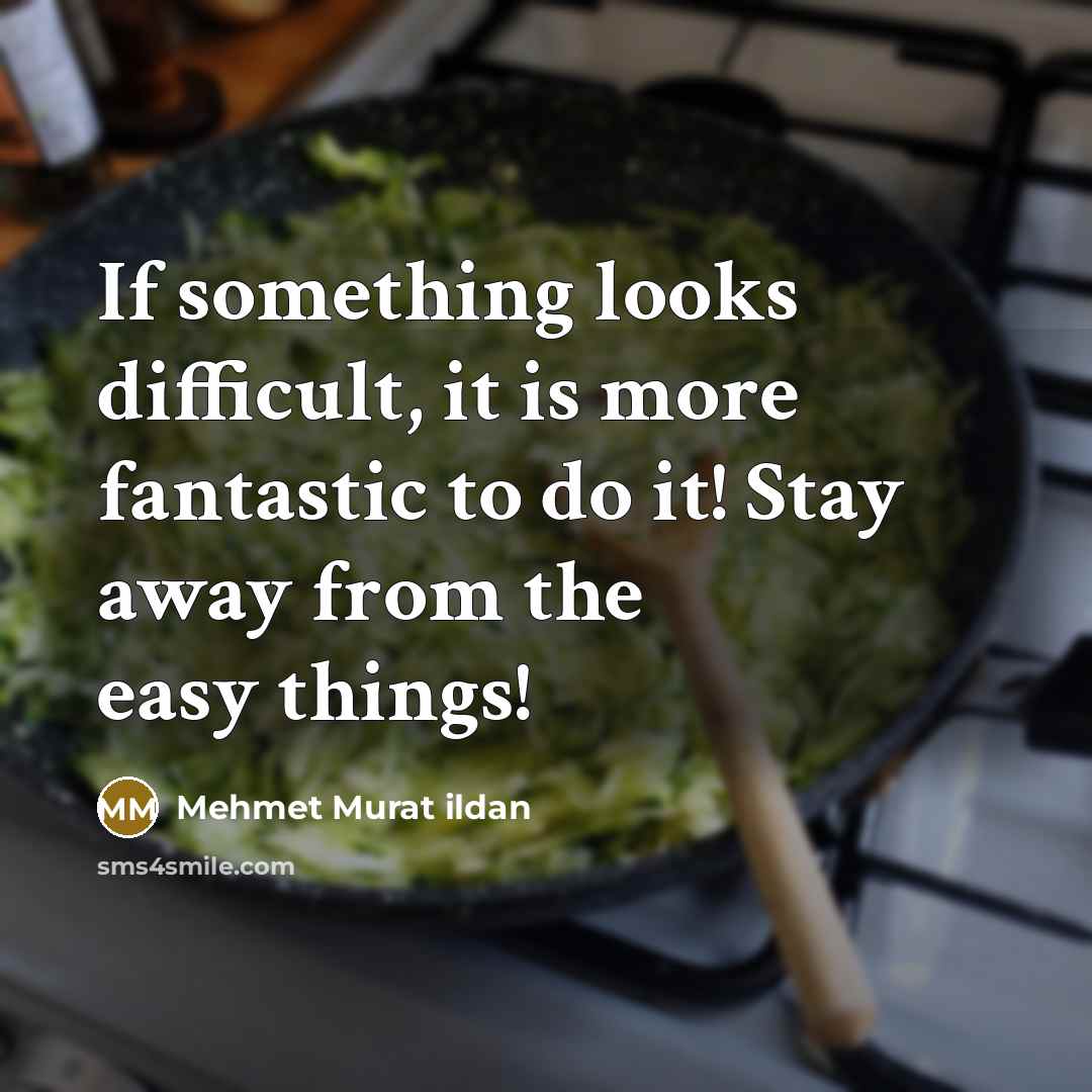 “If something looks difficult, it is more fantastic to do it! Stay away from the easy things!” quote by Mehmet Murat Ildan