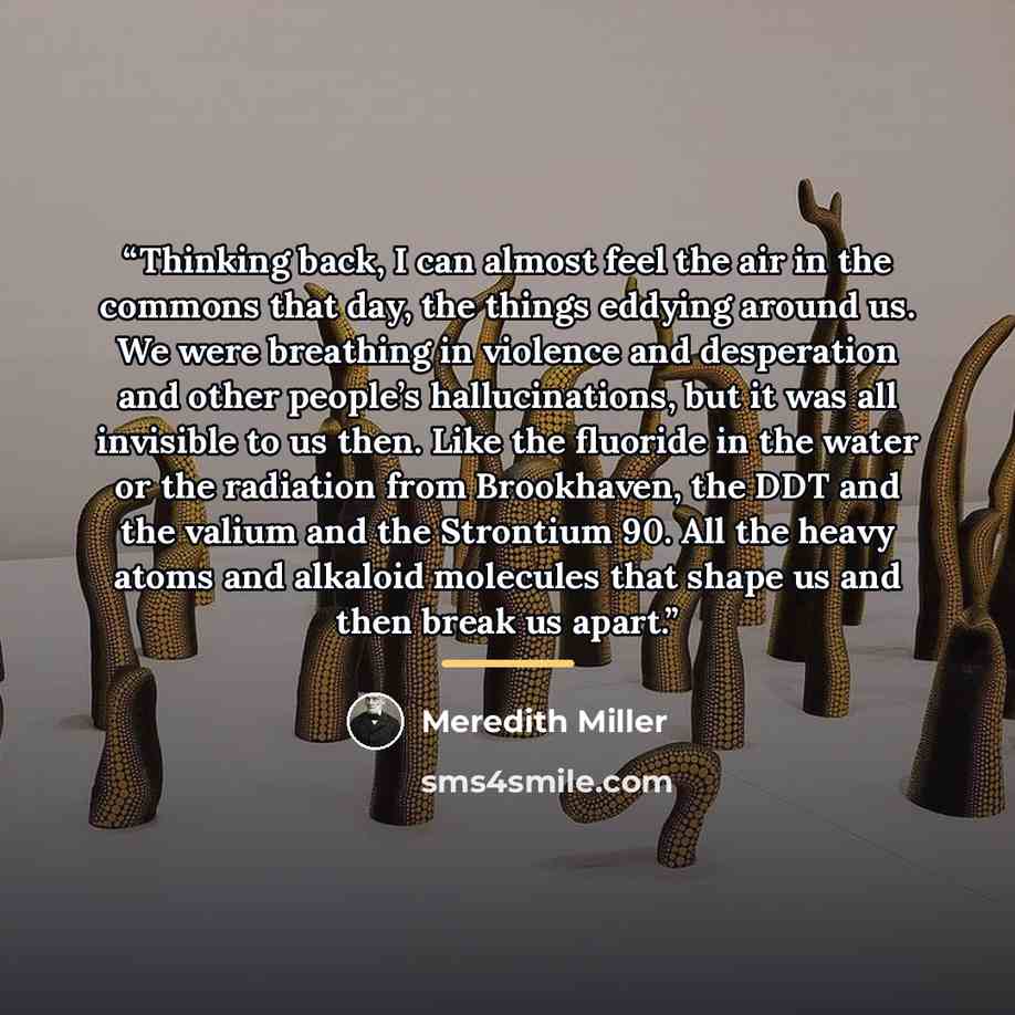 “Thinking back, I can almost feel the air in the commons that day, the things eddying around us. We were breathing in violence and desperation and other people’s hallucinations, but it was all invisible to us then. Like the fluoride in the water or the radiation from Brookhaven, the DDT and the…” quote by Meredith Miller