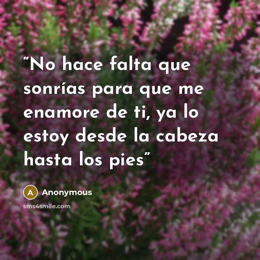 “No hace falta que sonrías para que me enamore de ti, ya lo estoy desde la cabeza hasta los pies” quote by Anonymous