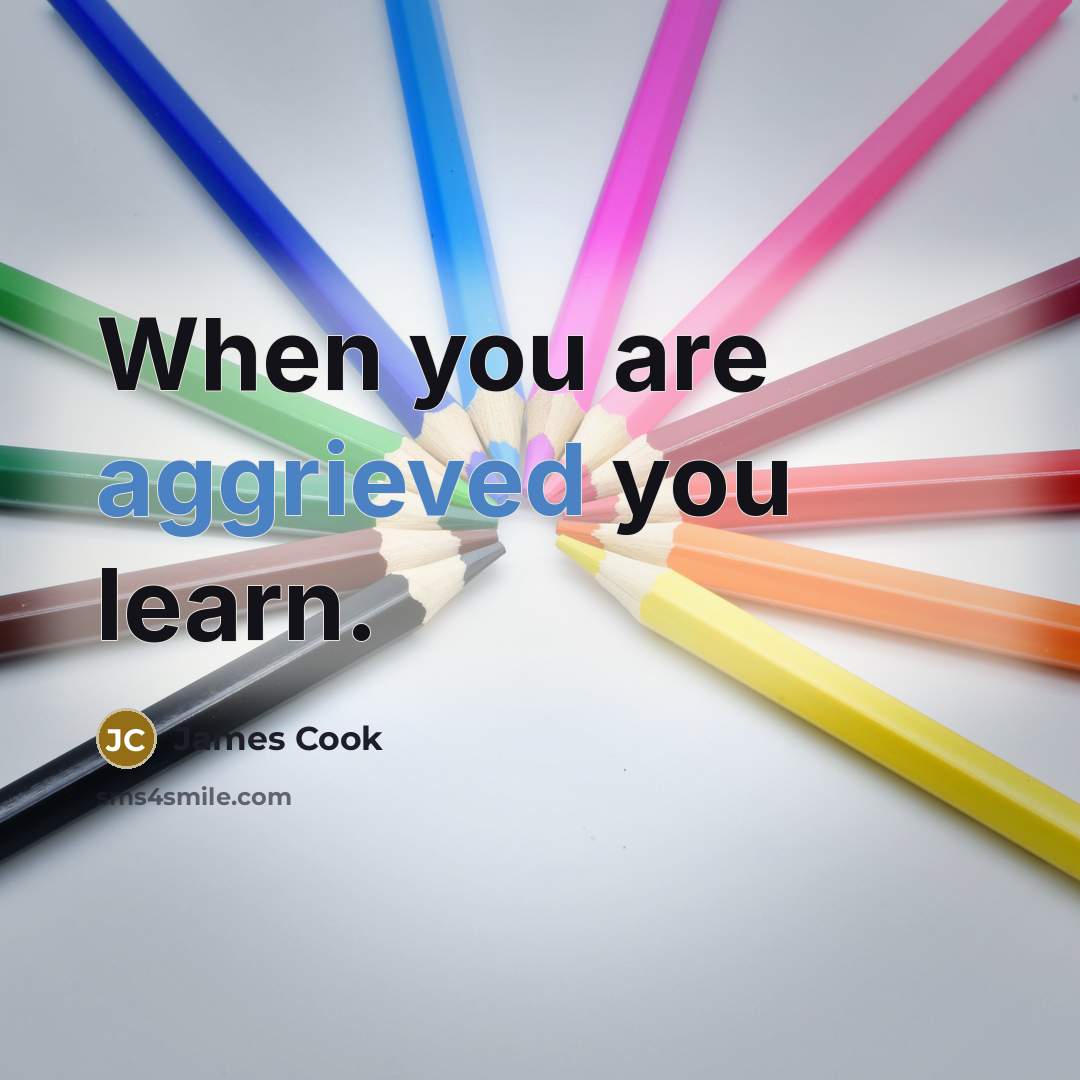 “When you are aggrieved you learn.” quote by James Cook