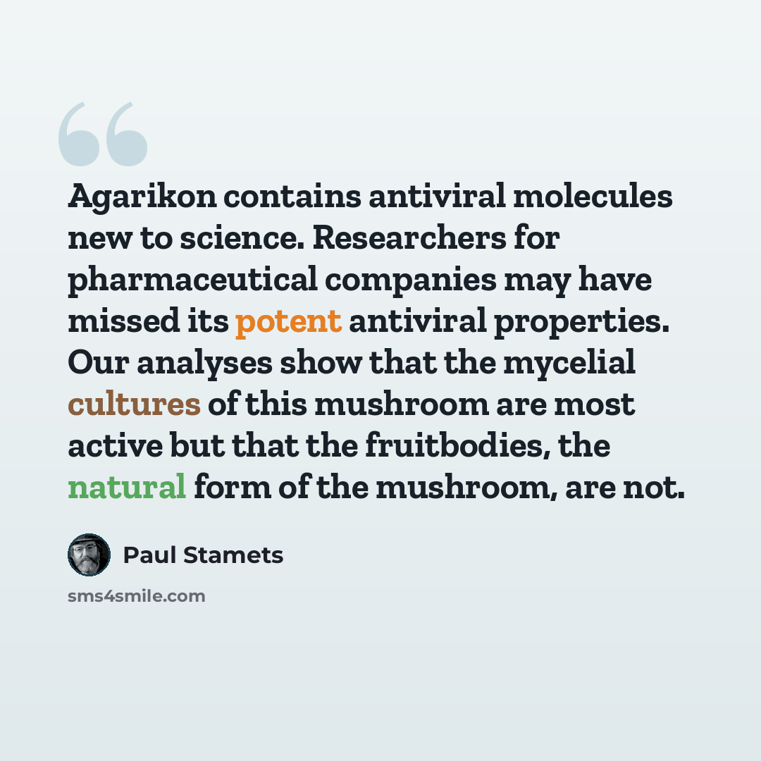 “Agarikon contains antiviral molecules new to science. Researchers for pharmaceutical companies may have missed its potent antiviral properties. Our analyses show that the mycelial cultures of this mushroom are most active but that the fruitbodies, the natural form of the mushroom, are not.” quote by Paul Stamets