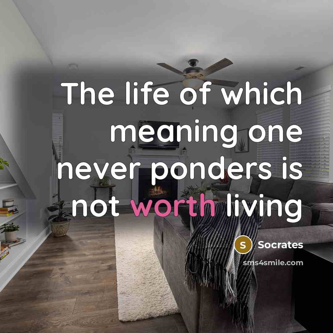 “The life of which meaning one never ponders is not worth living” quote by Socrates