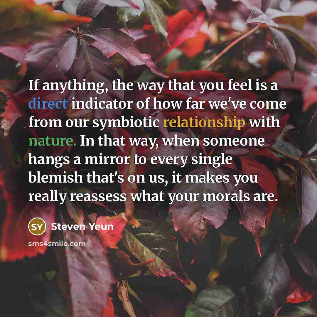 “If anything, the way that you feel is a direct indicator of how far we've come from our symbiotic relationship with nature. In that way, when someone hangs a mirror to every single blemish that's on us, it makes you really reassess what your morals are.” quote by Steven Yeun