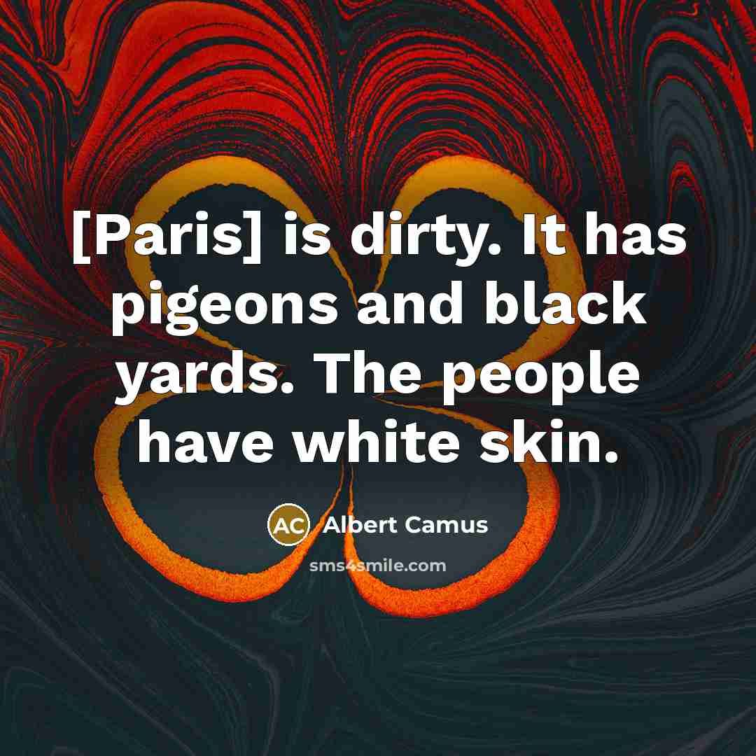 “[Paris] is dirty. It has pigeons and black yards. The people have white skin.” quote by Albert Camus