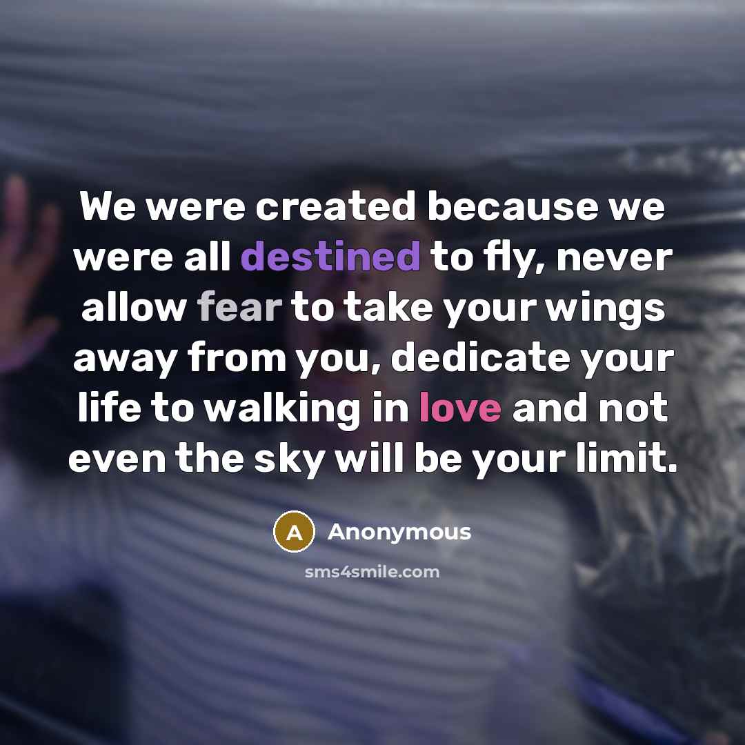 “We were created because we were all destined to fly, never allow fear to take your wings away from you, dedicate your life to walking in love and not even the sky will be your limit.” quote by Anonymous