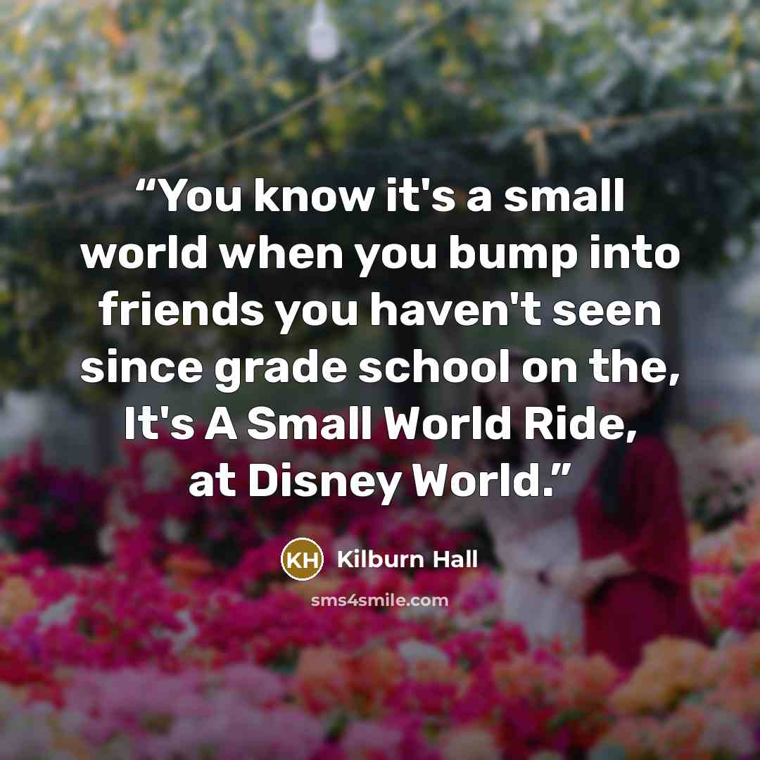 “You know it's a small world when you bump into friends you haven't seen since grade school on the, It's A Small World Ride, at Disney World.” quote by Kilburn Hall
