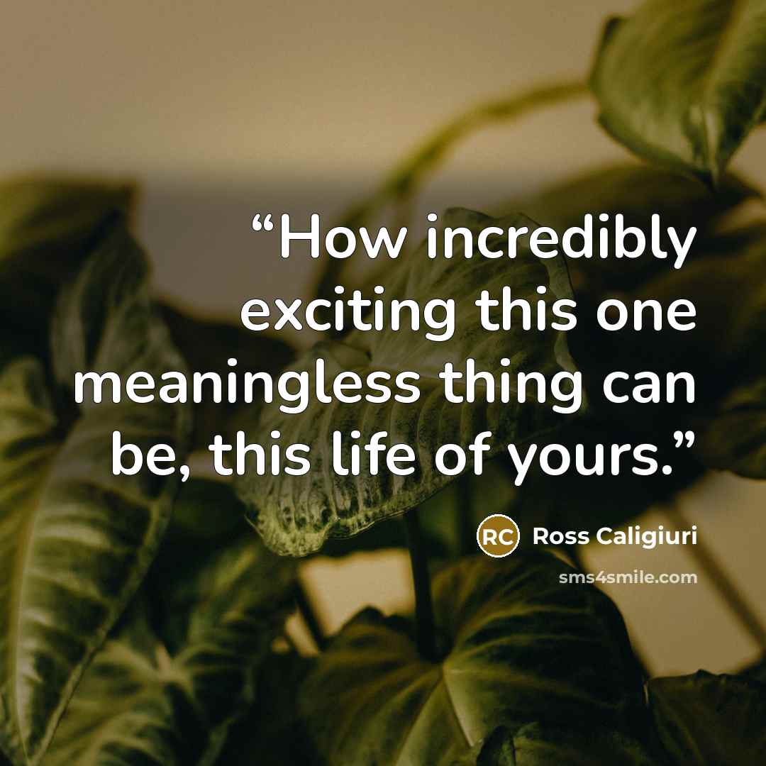 “How incredibly exciting this one meaningless thing can be, this life of yours.” quote by Ross Caligiuri