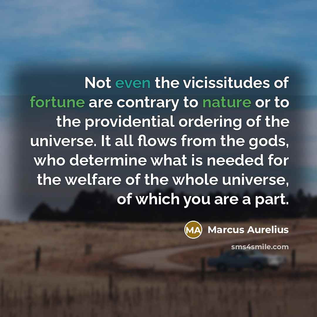 “Not even the vicissitudes of fortune are contrary to nature or to the providential ordering of the universe. It all flows from the gods, who determine what is needed for the welfare of the whole universe, of which you are a part.” quote by Marcus Aurelius