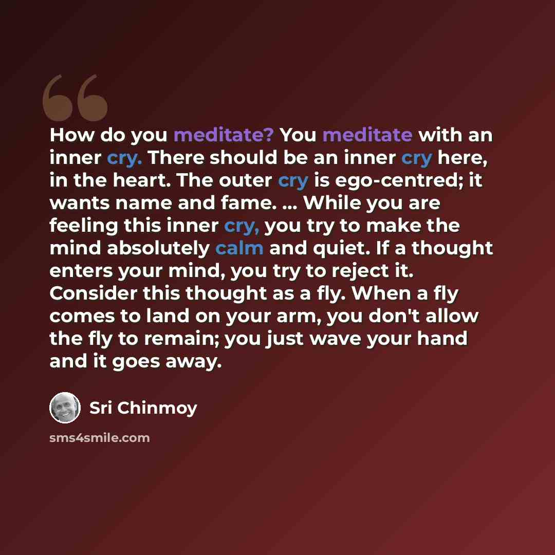 “How do you meditate? You meditate with an inner cry. There should be an inner cry here, in the heart. The outer cry is ego-centred; it wants name and fame. ... While you are feeling this inner cry, you try to make the mind absolutely calm and quiet. If a thought enters your mind, you try to reject…” quote by Sri Chinmoy