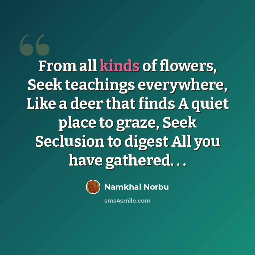 “From all kinds of flowers, Seek teachings everywhere, Like a deer that finds A quiet place to graze, Seek Seclusion to digest All you have gathered. . .” quote by Namkhai Norbu