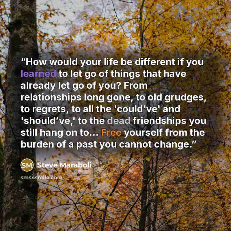 “How would your life be different if you learned to let go of things that have already let go of you? From relationships long gone, to old grudges, to regrets, to all the 'could’ve' and 'should’ve,' to the dead friendships you still hang on to... Free yourself from the burden of a past you cannot…” quote by Steve Maraboli