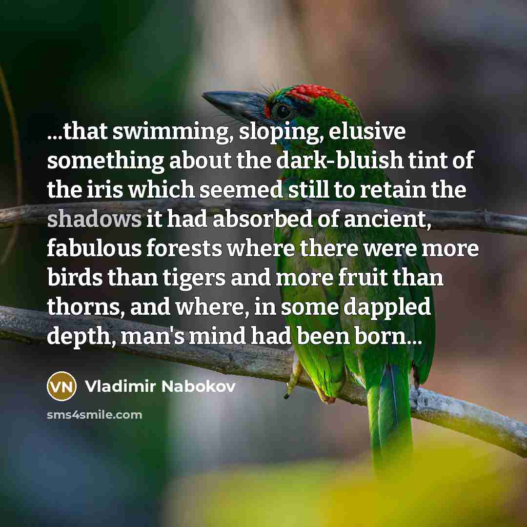 “...that swimming, sloping, elusive something about the dark-bluish tint of the iris which seemed still to retain the shadows it had absorbed of ancient, fabulous forests where there were more birds than tigers and more fruit than thorns, and where, in some dappled depth, man's mind had been born...” quote by Vladimir Nabokov