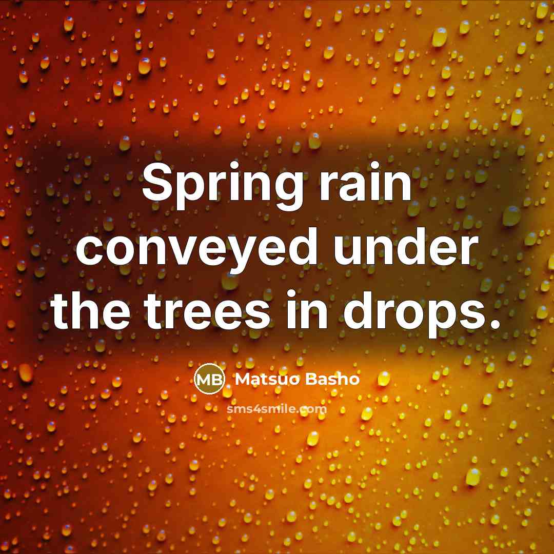 “Spring rain conveyed under the trees in drops.” quote by Matsuo Basho