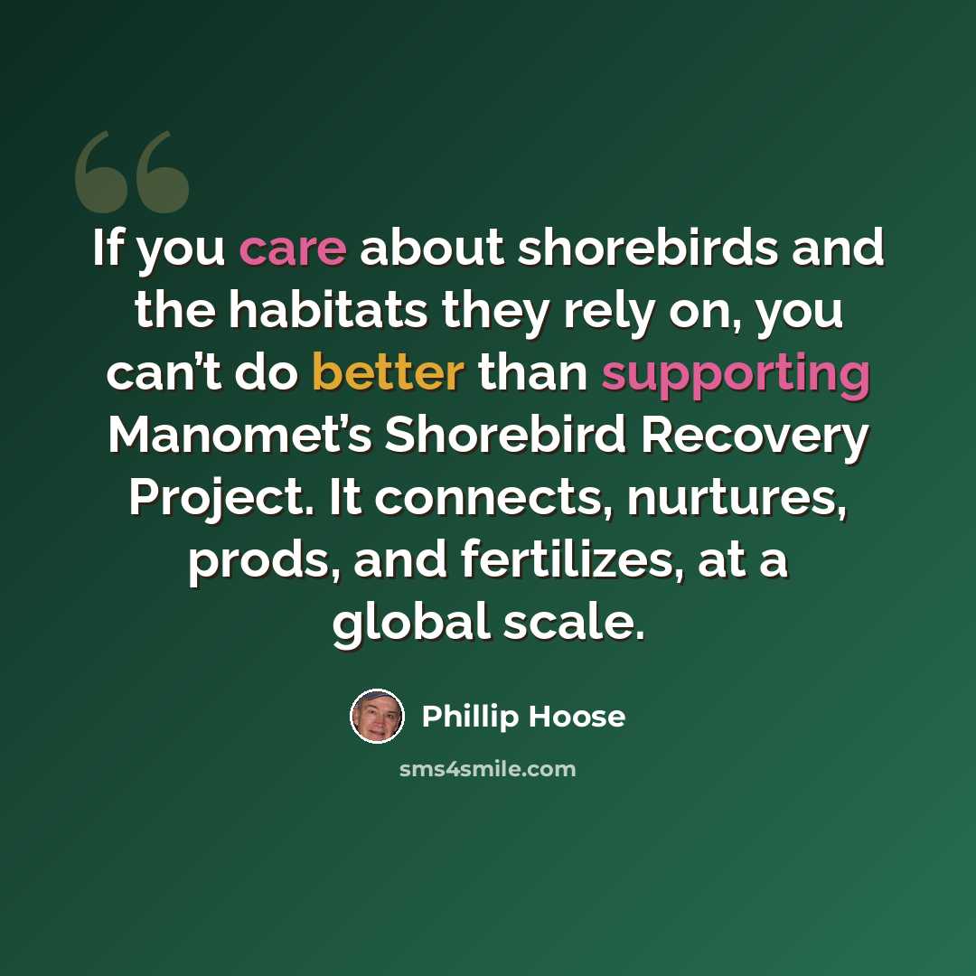 “If you care about shorebirds and the habitats they rely on, you can’t do better than supporting Manomet’s Shorebird Recovery Project. It connects, nurtures, prods, and fertilizes, at a global scale.” quote by Phillip Hoose