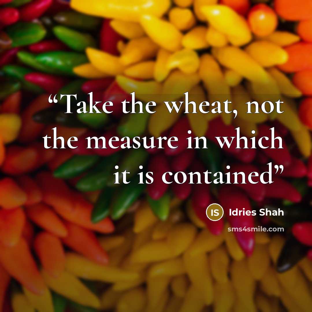 “Take the wheat, not the measure in which it is contained” quote by Idries Shah
