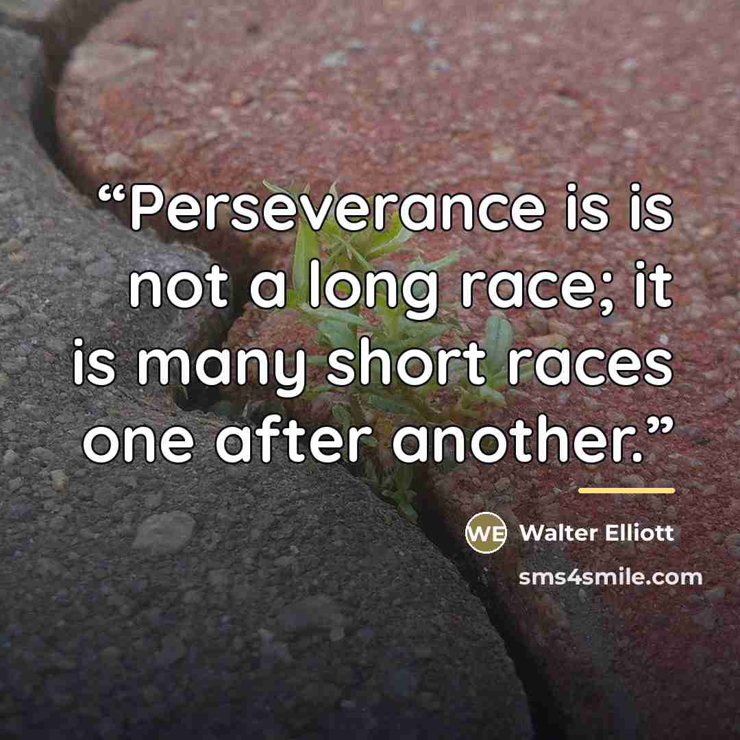 “Perseverance is is not a long race; it is many short races one after another.” quote by Walter Elliott