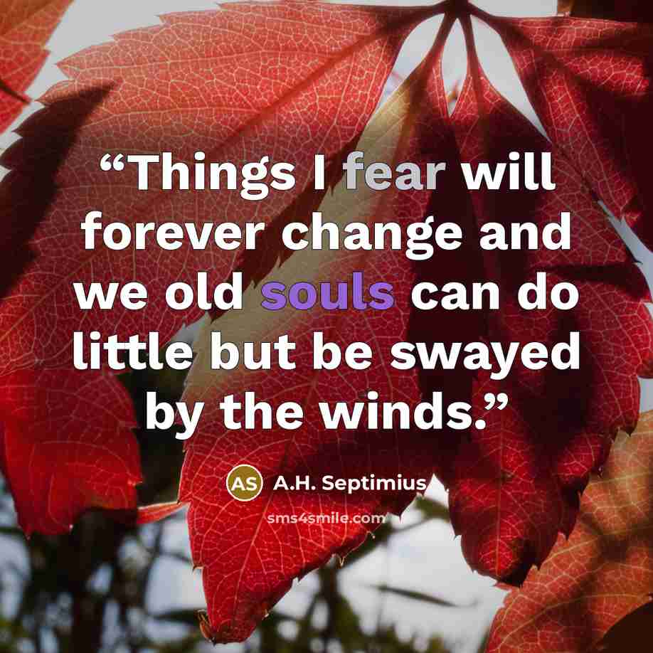 “Things I fear will forever change and we old souls can do little but be swayed by the winds.” quote by A.H. Septimius