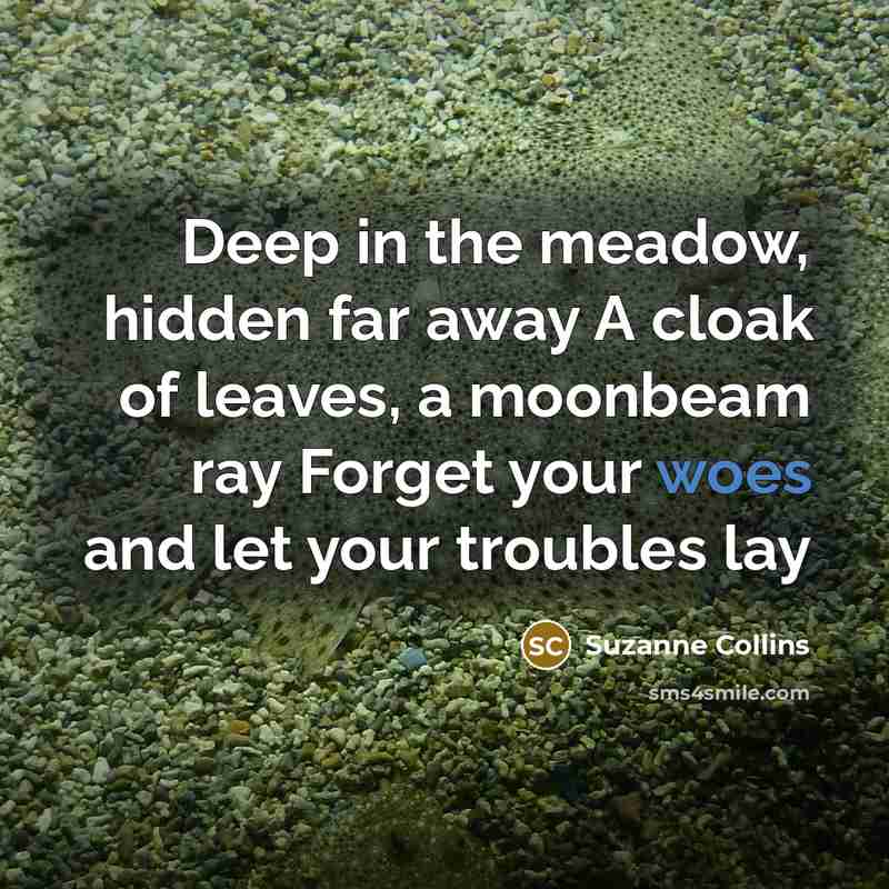 “Deep in the meadow, hidden far away A cloak of leaves, a moonbeam ray Forget your woes and let your troubles lay” quote by Suzanne Collins