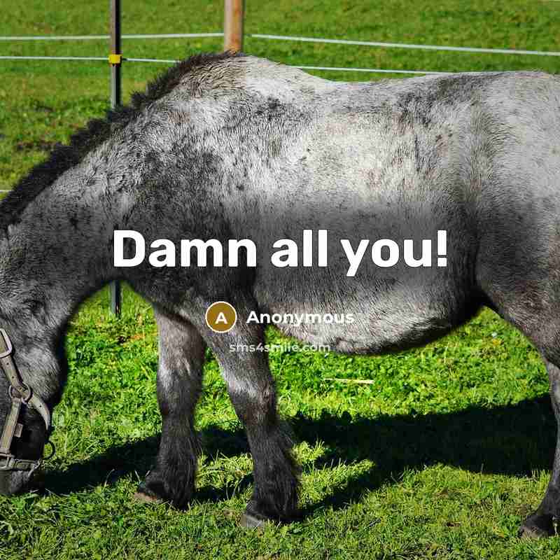 “Damn all you!” quote by Anonymous