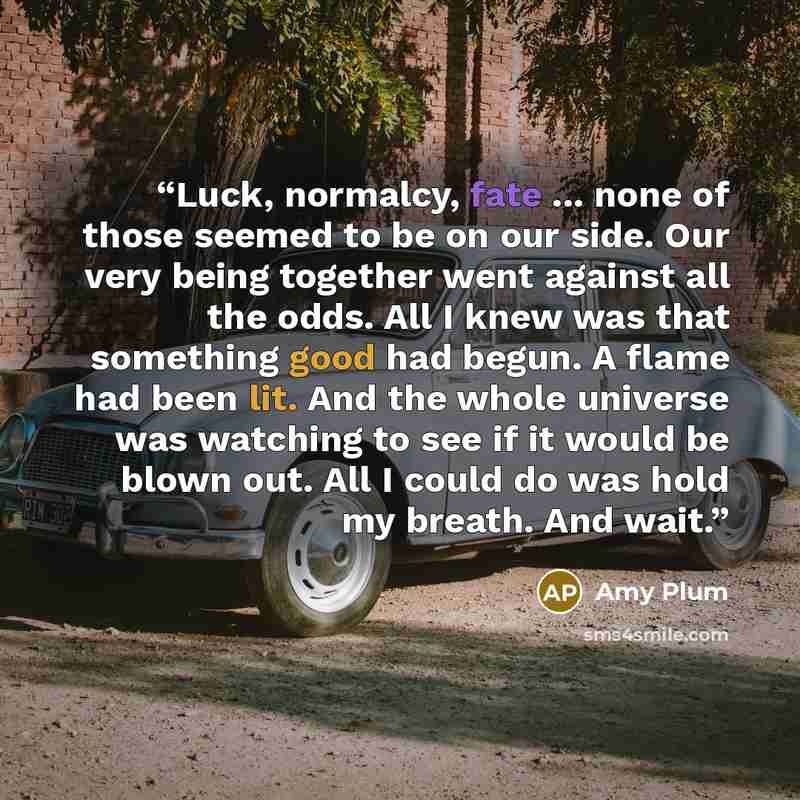 “Luck, normalcy, fate ... none of those seemed to be on our side. Our very being together went against all the odds. All I knew was that something good had begun. A flame had been lit. And the whole universe was watching to see if it would be blown out. All I could do was hold my breath. And wait.” quote by Amy Plum