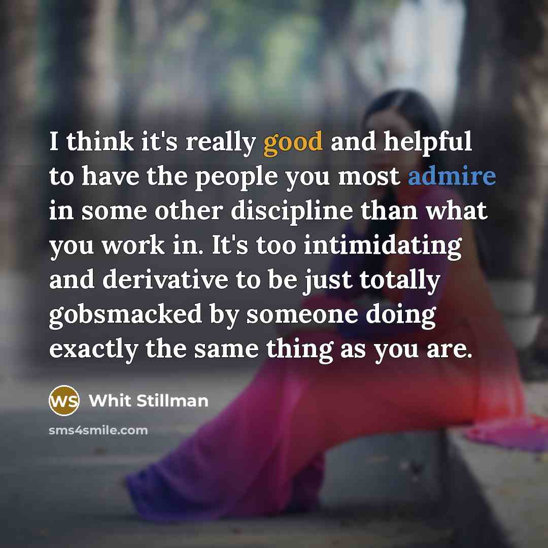 “I think it's really good and helpful to have the people you most admire in some other discipline than what you work in. It's too intimidating and derivative to be just totally gobsmacked by someone doing exactly the same thing as you are.” quote by Whit Stillman