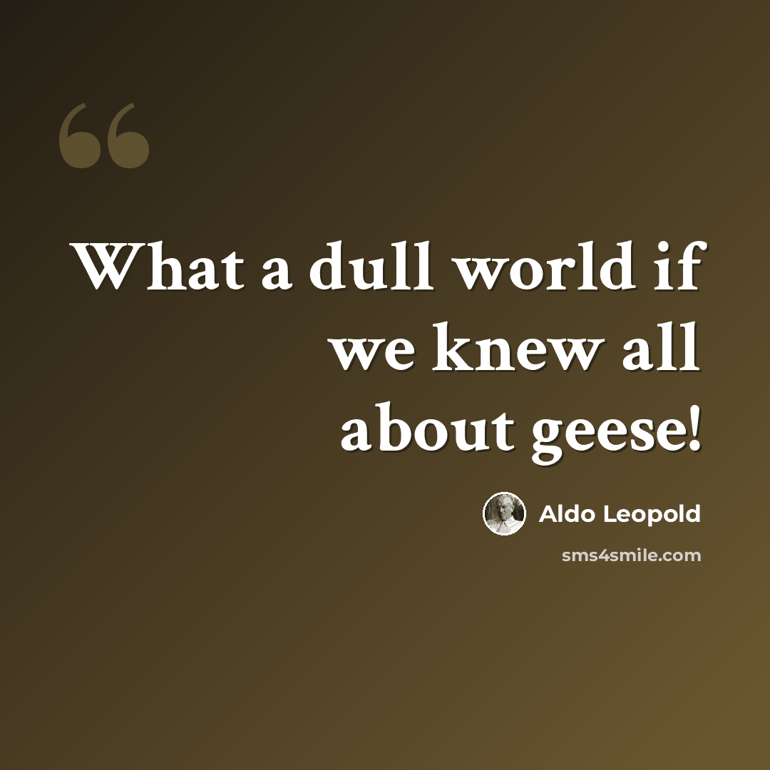 “What a dull world if we knew all about geese!” quote by Aldo Leopold
