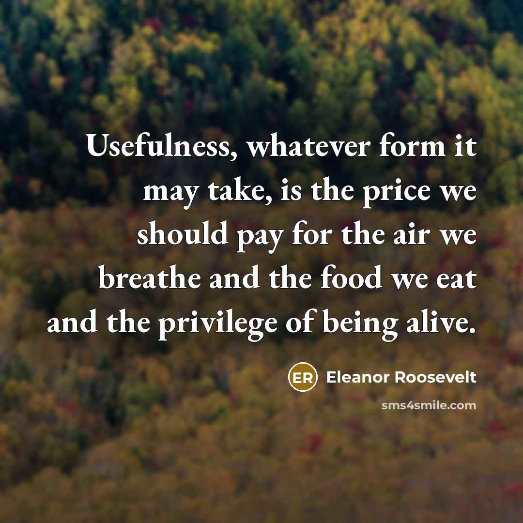 “Usefulness, whatever form it may take, is the price we should pay for the air we breathe and the food we eat and the privilege of being alive.” quote by Eleanor Roosevelt