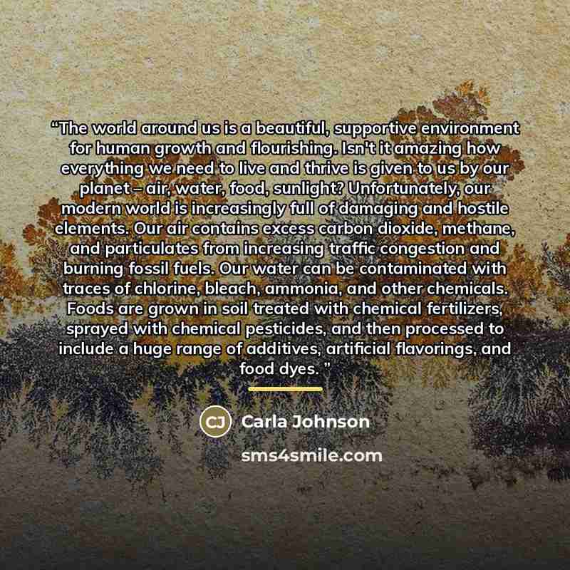 “The world around us is a beautiful, supportive environment for human growth and flourishing. Isn't it amazing how everything we need to live and thrive is given to us by our planet – air, water, food, sunlight? Unfortunately, our modern world is increasingly full of damaging and hostile elements…” quote by Carla Johnson