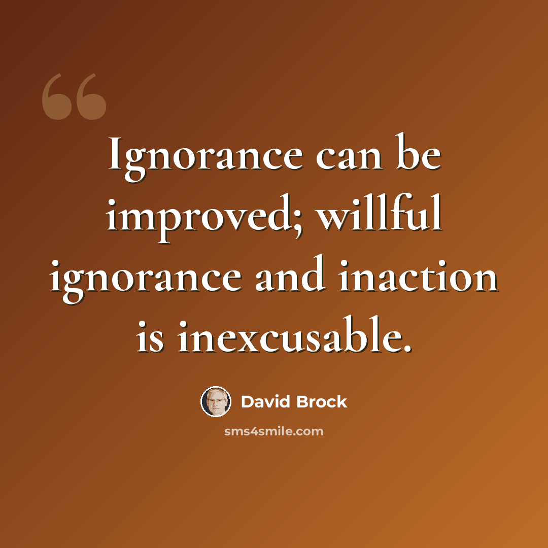 “Ignorance can be improved; willful ignorance and inaction is inexcusable.” quote by David Brock