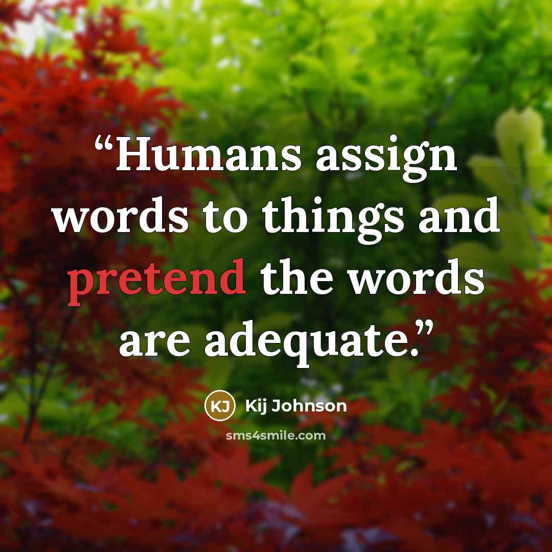 “Humans assign words to things and pretend the words are adequate.” quote by Kij Johnson