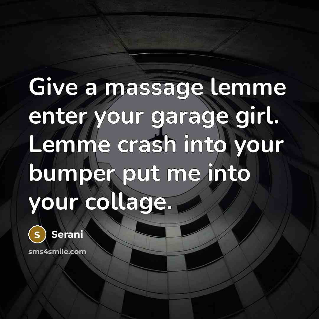 “Give a massage lemme enter your garage girl. Lemme crash into your bumper put me into your collage.” quote by Serani