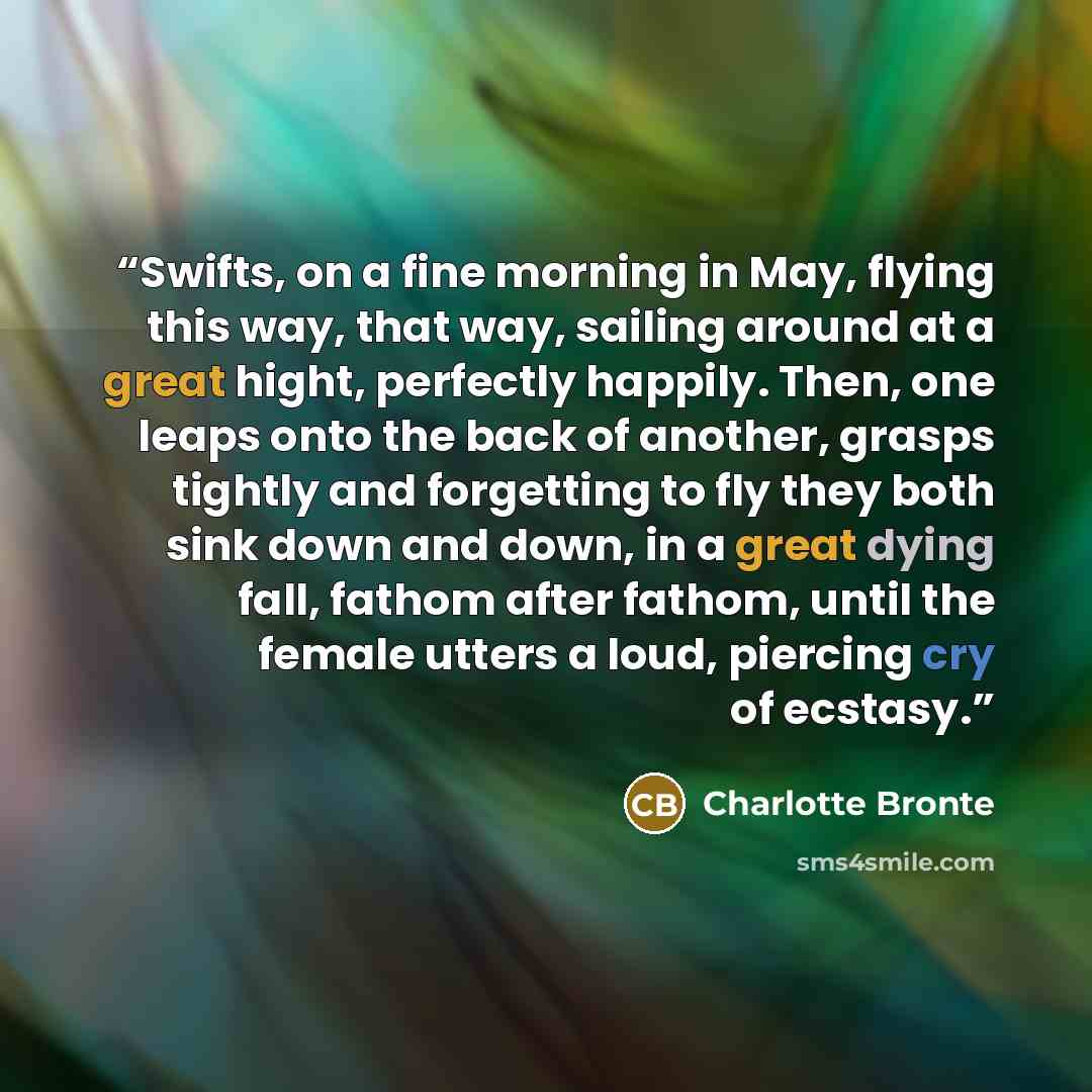 “Swifts, on a fine morning in May, flying this way, that way, sailing around at a great hight, perfectly happily. Then, one leaps onto the back of another, grasps tightly and forgetting to fly they both sink down and down, in a great dying fall, fathom after fathom, until the female utters a loud…” quote by Charlotte Brontë