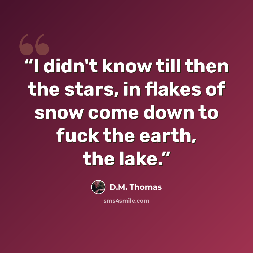 “I didn't know till then the stars, in flakes of snow come down to fuck the earth, the lake.” quote by D.M. Thomas