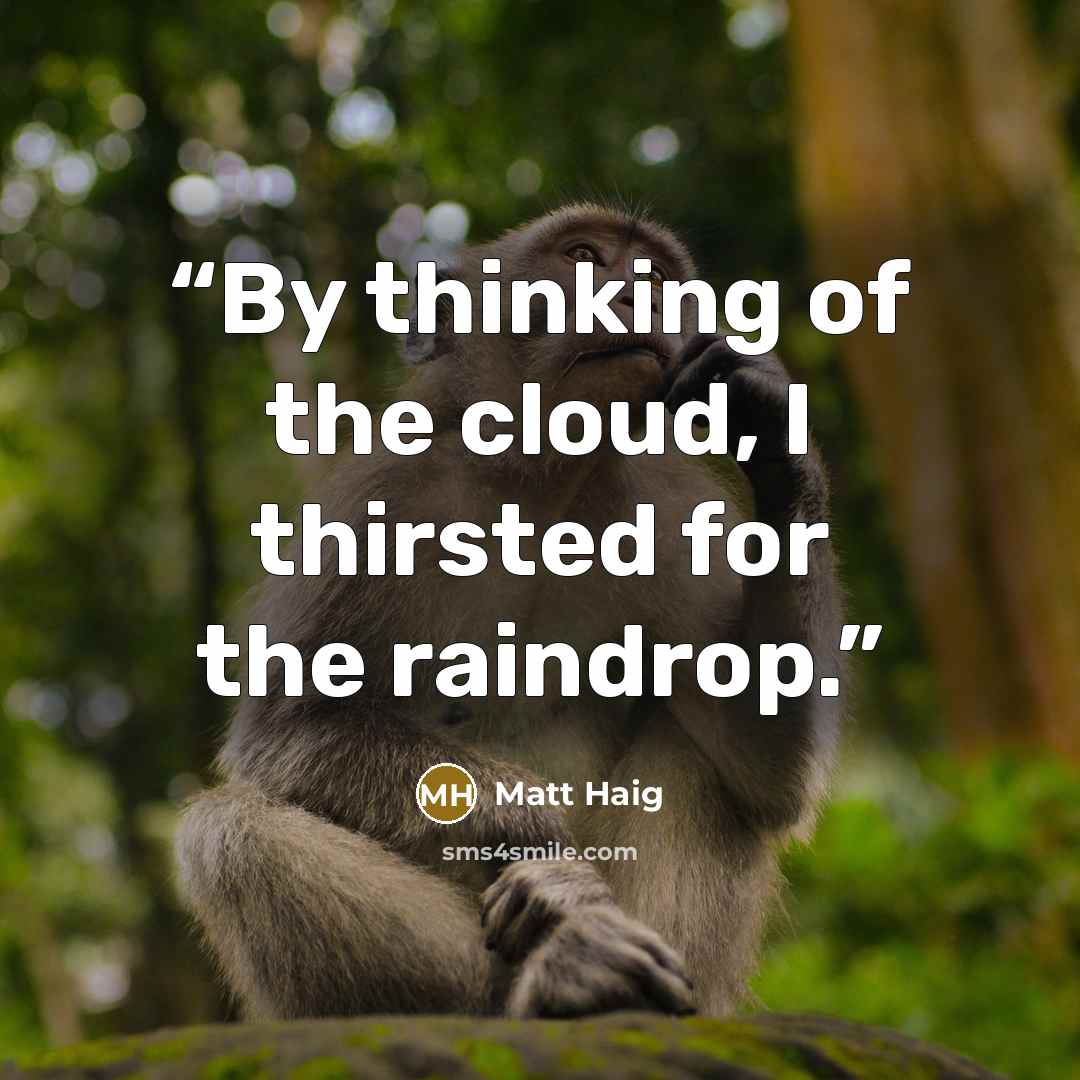 “By thinking of the cloud, I thirsted for the raindrop.” quote by Matt Haig