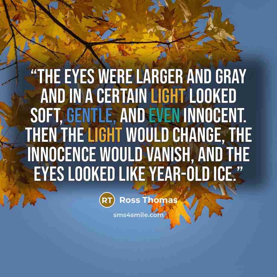 “The eyes were larger and gray and in a certain light looked soft, gentle, and even innocent. Then the light would change, the innocence would vanish, and the eyes looked like year-old ice.” quote by Ross Thomas