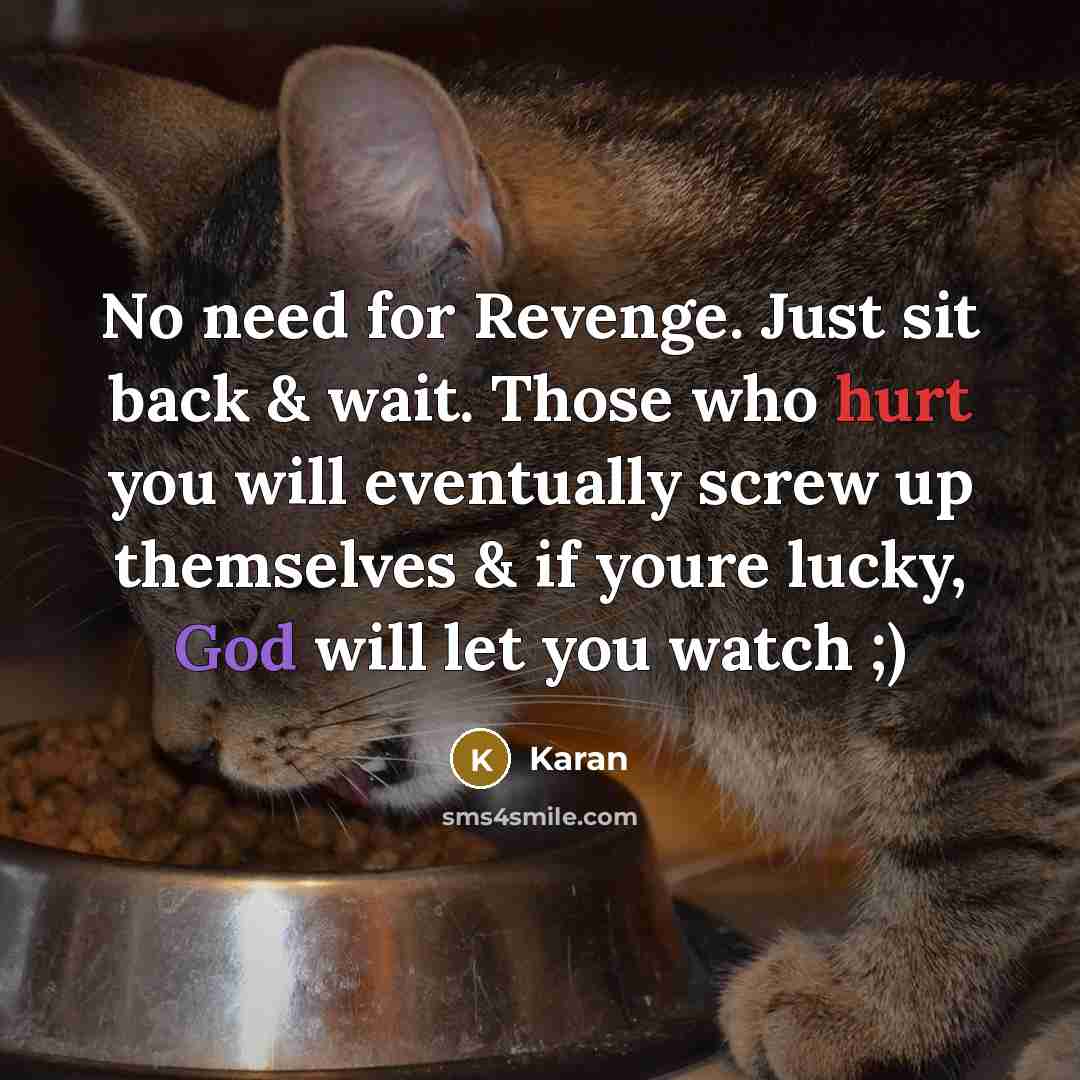 “No need for Revenge. Just sit back & wait. Those who hurt you will eventually screw up themselves & if youre lucky, God will let you watch ;)” quote by Karan