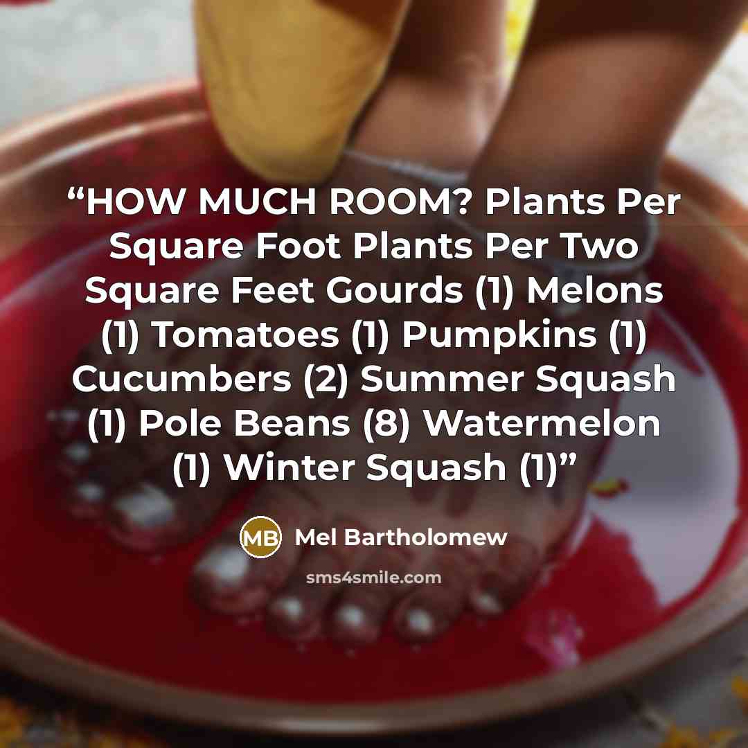 “HOW MUCH ROOM? Plants Per Square Foot Plants Per Two Square Feet Gourds (1) Melons (1) Tomatoes (1) Pumpkins (1) Cucumbers (2) Summer Squash (1) Pole Beans (8) Watermelon (1) Winter Squash (1)” quote by Mel Bartholomew