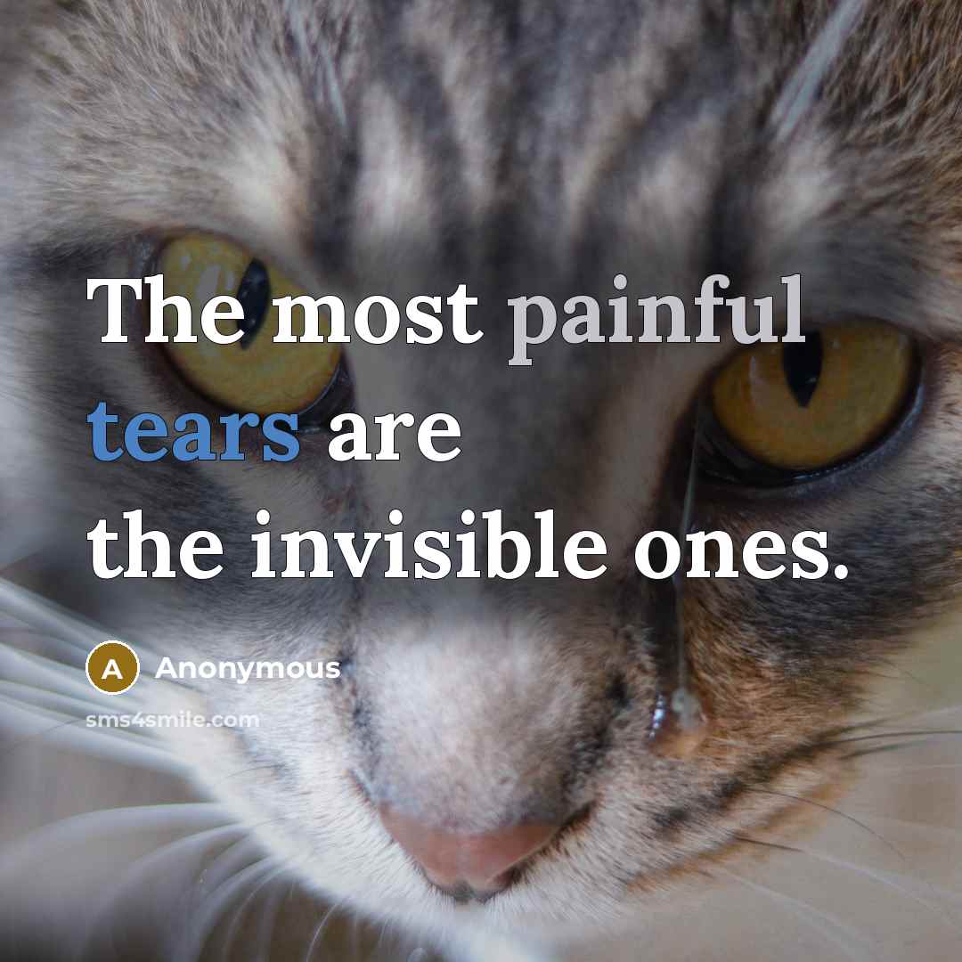 “The most painful tears are the invisible ones.” quote by Anonymous