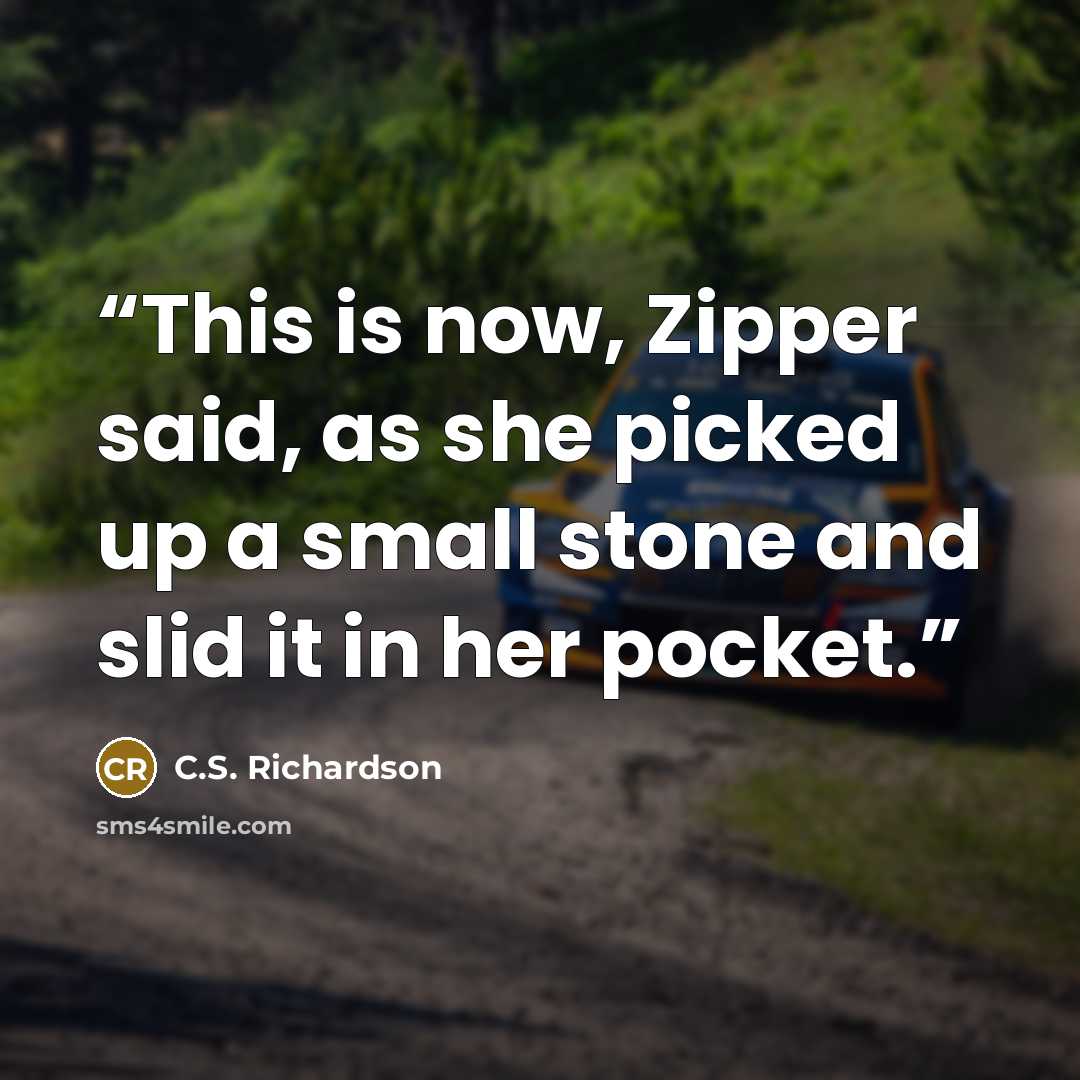 “This is now, Zipper said, as she picked up a small stone and slid it in her pocket.” quote by C.S. Richardson