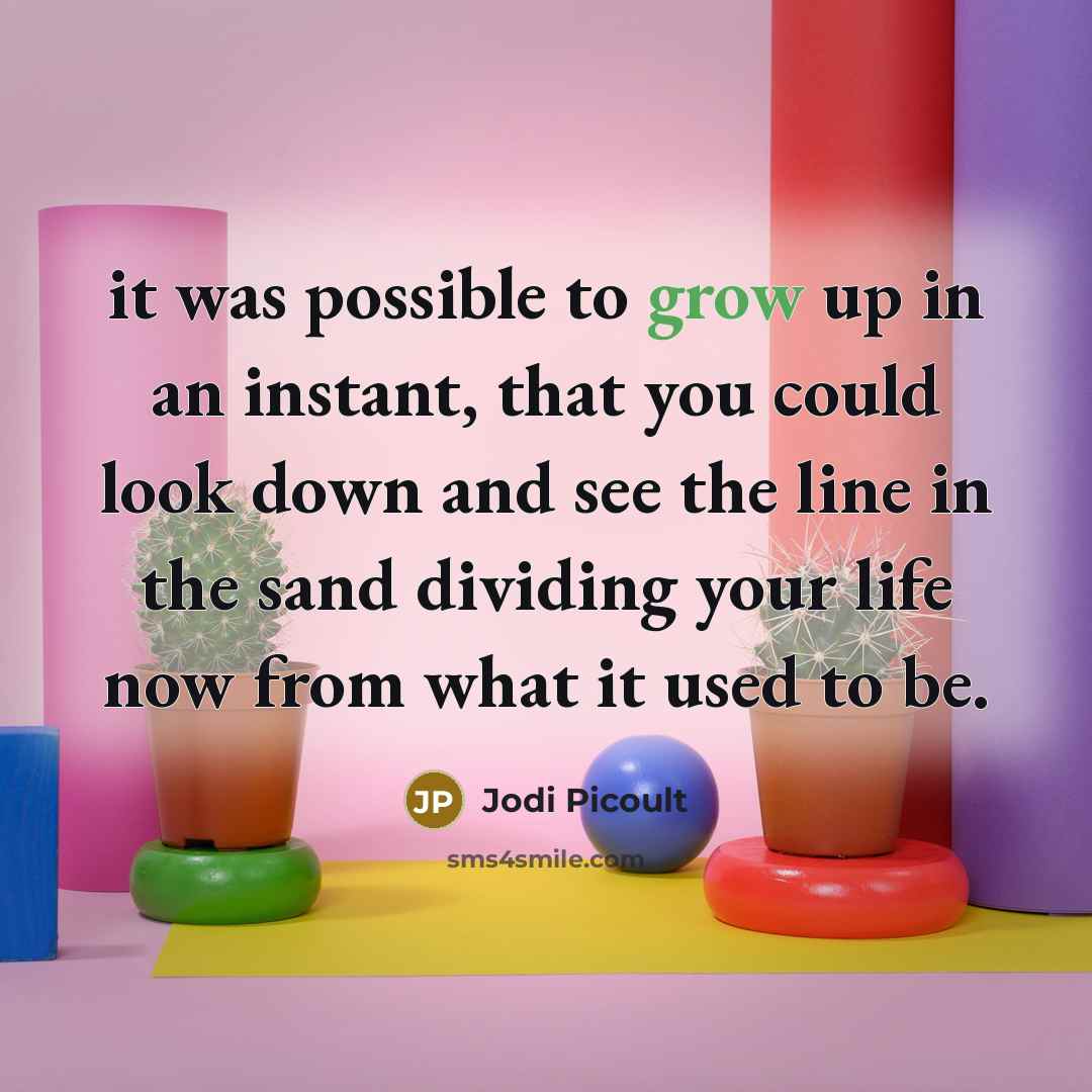 “it was possible to grow up in an instant, that you could look down and see the line in the sand dividing your life now from what it used to be.” quote by Jodi Picoult