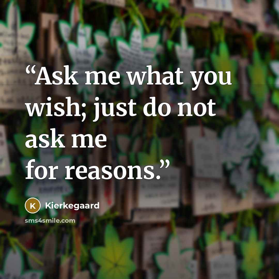 “Ask me what you wish; just do not ask me for reasons.” quote by Kierkegaard