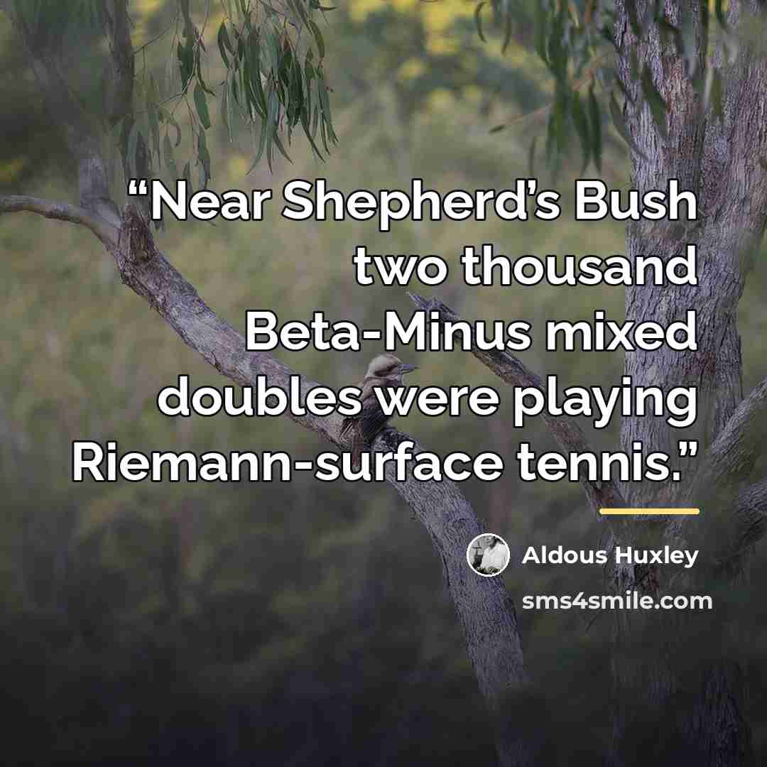 “Near Shepherd’s Bush two thousand Beta-Minus mixed doubles were playing Riemann-surface tennis.” quote by Aldous Huxley