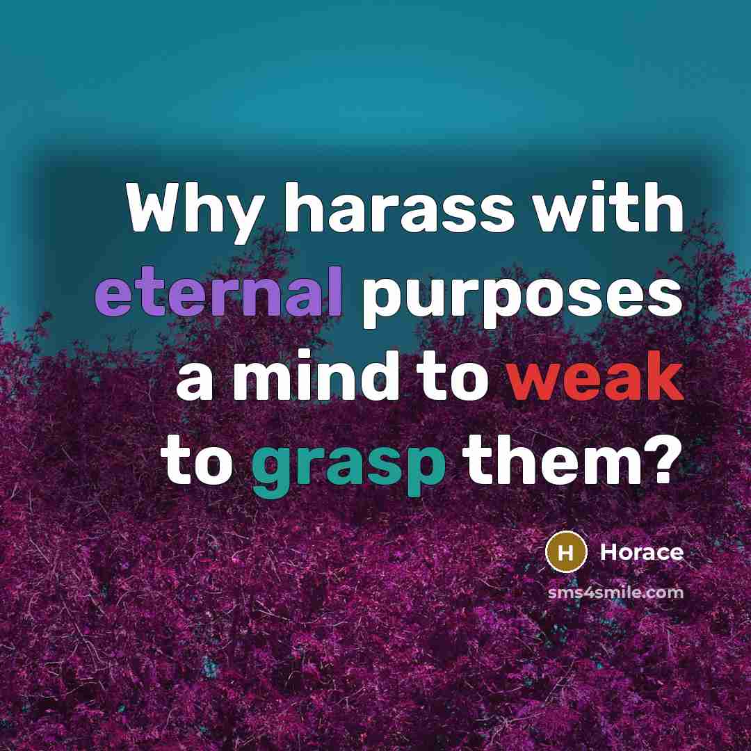“Why harass with eternal purposes a mind to weak to grasp them?” quote by Horace